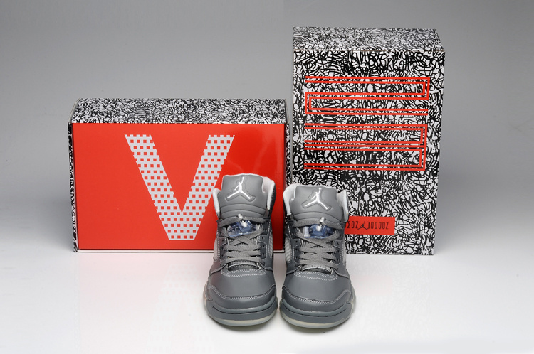 Air Jordan 5 Mens Shoes Aaa Silver Gray Online